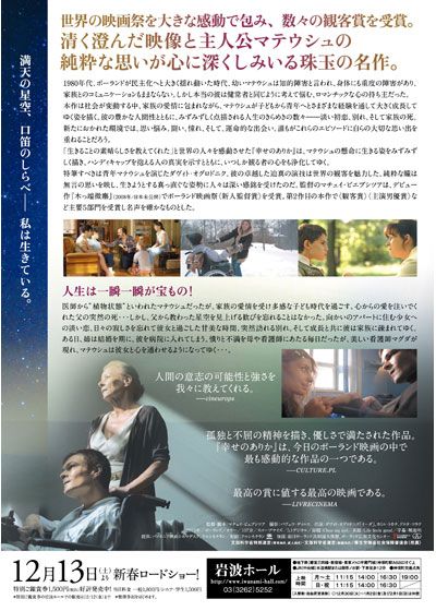 映画『幸せのありか』の画像（3枚目）