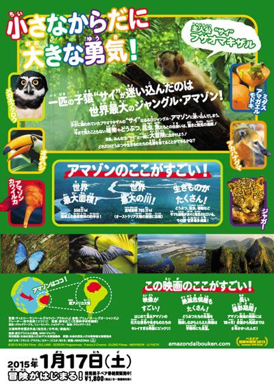 映画『アマゾン大冒険～世界最大のジャングルを探検しよう！～』の画像（3枚目）