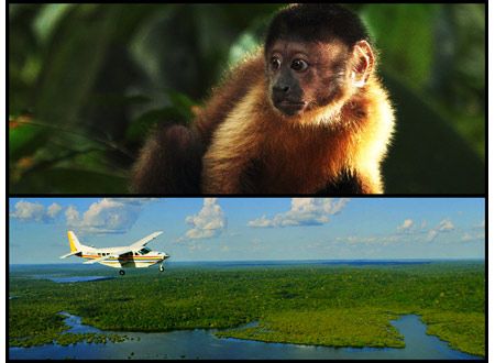 アマゾン大冒険～世界最大のジャングルを探検しよう！～