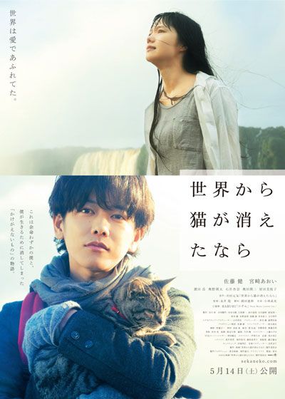 映画『世界から猫が消えたなら』の画像（2枚目）