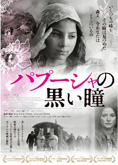 映画『パプーシャの黒い瞳』の画像（4枚目）