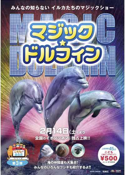 映画『マジックドルフィン』の画像（2枚目）
