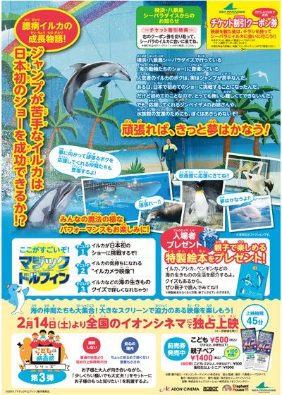 映画『マジックドルフィン』の画像（3枚目）