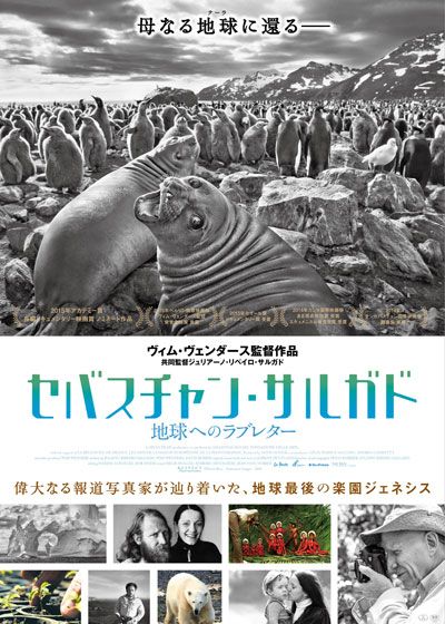 映画『セバスチャン・サルガド／地球へのラブレター』の画像（4枚目）