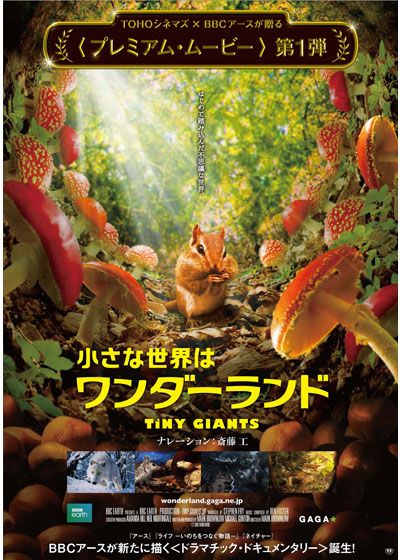 映画『小さな世界はワンダーランド』の画像（2枚目）