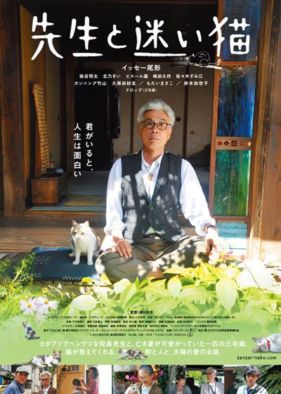 映画『先生と迷い猫』の画像（2枚目）