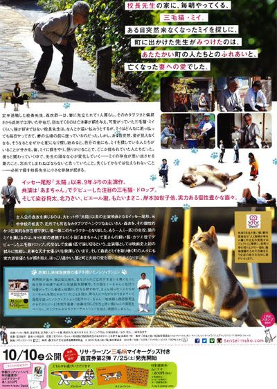 映画『先生と迷い猫』の画像（3枚目）