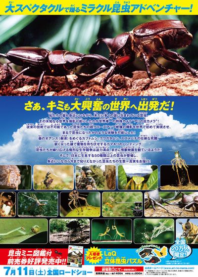 映画『アリのままでいたい』の画像（3枚目）