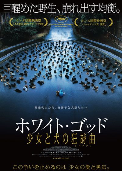 映画『ホワイト・ゴッド　少女と犬の狂詩曲（ラプソディ）』の画像（2枚目）