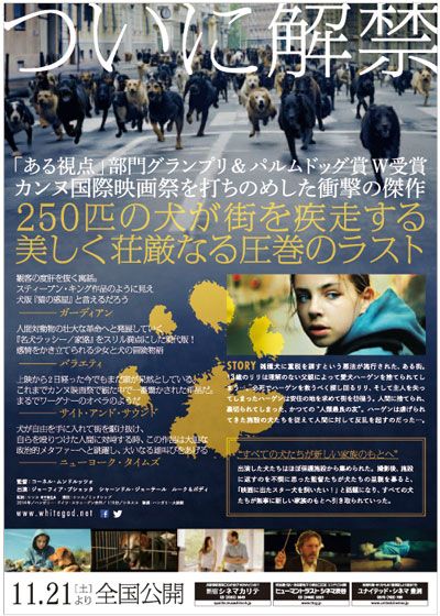 映画『ホワイト・ゴッド　少女と犬の狂詩曲（ラプソディ）』の画像（3枚目）