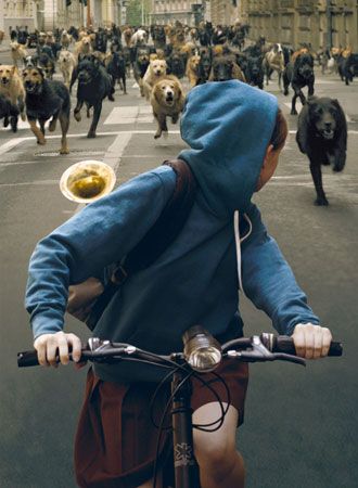 映画『ホワイト・ゴッド　少女と犬の狂詩曲（ラプソディ）』の画像（4枚目）