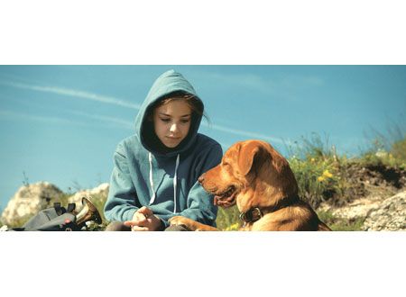 映画『ホワイト・ゴッド　少女と犬の狂詩曲（ラプソディ）』の画像（6枚目）