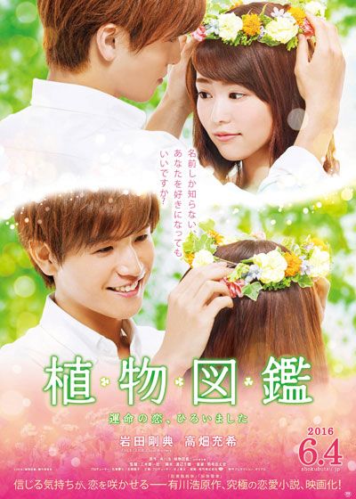 映画『植物図鑑　運命の恋、ひろいました』の画像（2枚目）