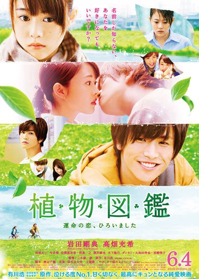 映画『植物図鑑　運命の恋、ひろいました』の画像（3枚目）