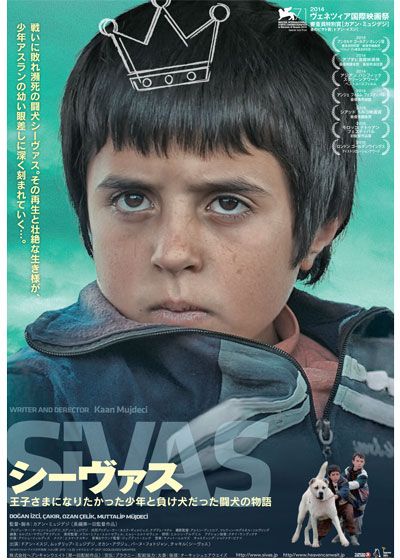 映画『シーヴァス　王子さまになりたかった少年と負け犬だった闘犬の物語』の画像（2枚目）