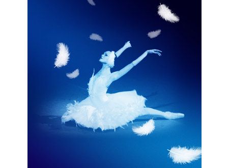 ロパートキナ　孤高の白鳥