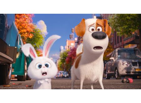 映画『ペット』の画像（5枚目）