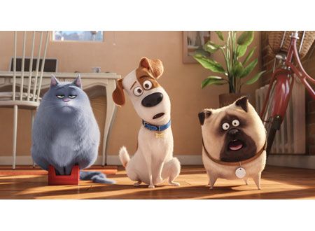 映画『ペット』の画像（6枚目）