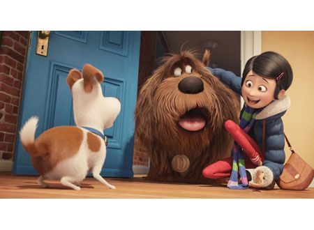 映画『ペット』の画像（8枚目）