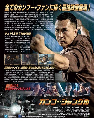 映画『カンフー・ジャングル』の画像（3枚目）