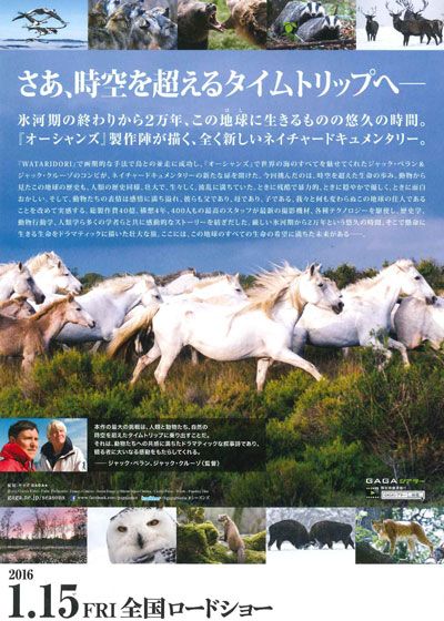 映画『シーズンズ 2万年の地球旅行』の画像（3枚目）