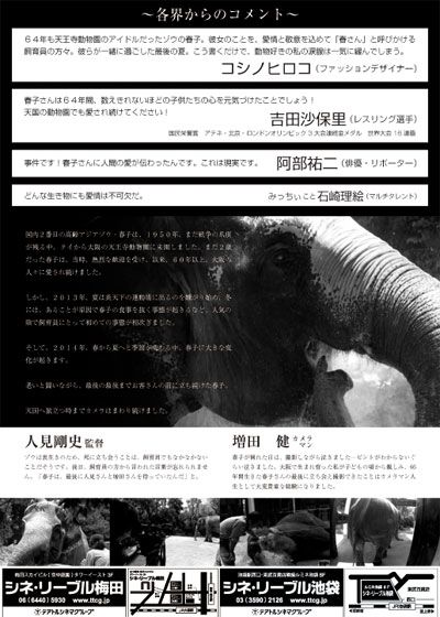 映画『天王寺おばあちゃんゾウ　春子　最後の夏』の画像（2枚目）