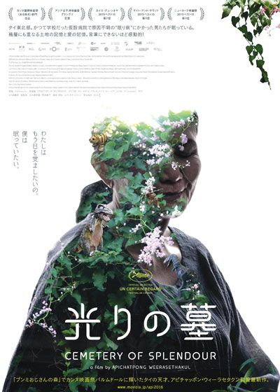 映画『光りの墓』の画像（2枚目）
