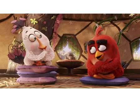 映画『アングリーバード』の画像（6枚目）