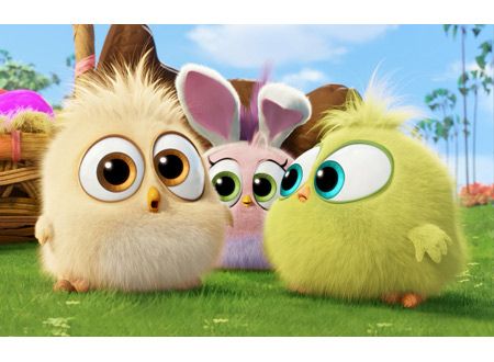 映画『アングリーバード』の画像（8枚目）