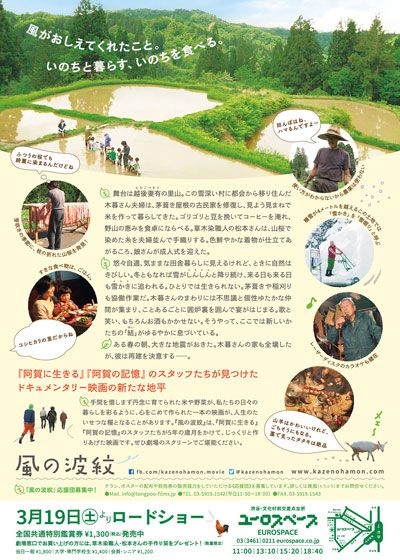 映画『風の波紋』の画像（3枚目）