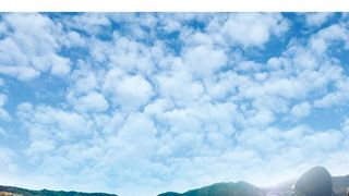 サンマとカタール　女川つながる人々
