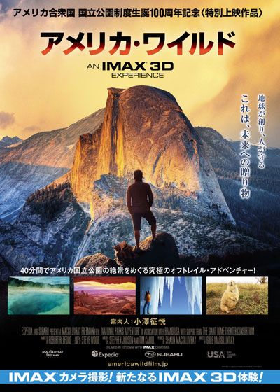 映画『アメリカ・ワイルド』の画像（2枚目）