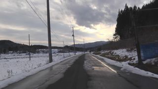 みえない汚染　飯舘村の動物たち