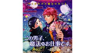 この男子、魔法がお仕事です。