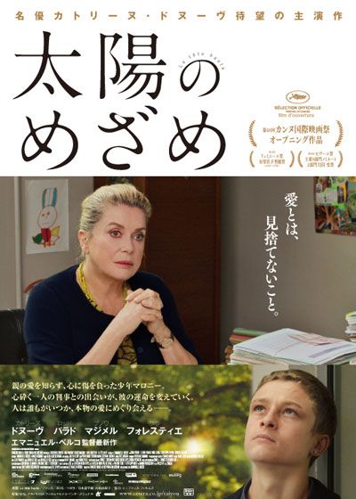 映画『太陽のめざめ』の画像（2枚目）