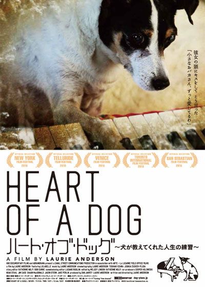 映画『ハート・オブ・ドッグ　～犬が教えてくれた人生の練習～』の画像（2枚目）