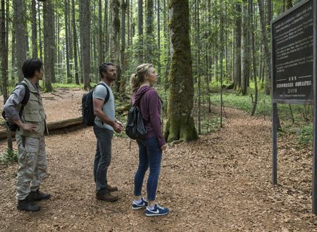 映画『JUKAI－樹海－』の画像（6枚目）