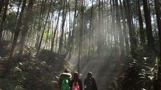 fuji_jukai.mov