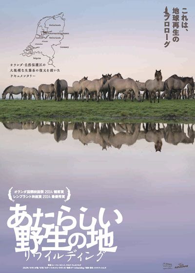 映画『あたらしい野生の地－リワイルディング』の画像（2枚目）