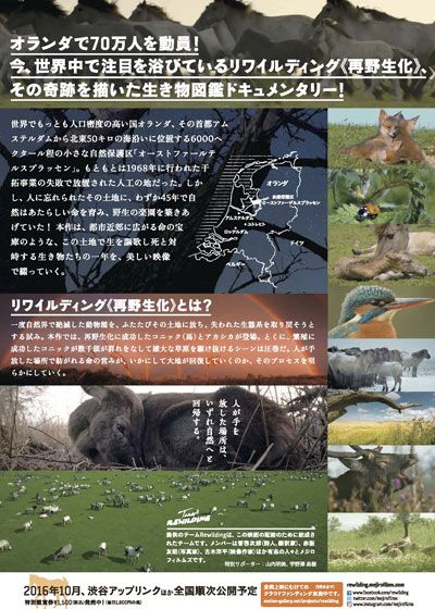 映画『あたらしい野生の地－リワイルディング』の画像（3枚目）