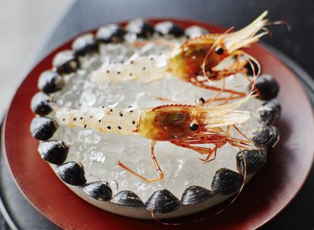 ノーマ東京　世界一のレストランが日本にやって来た