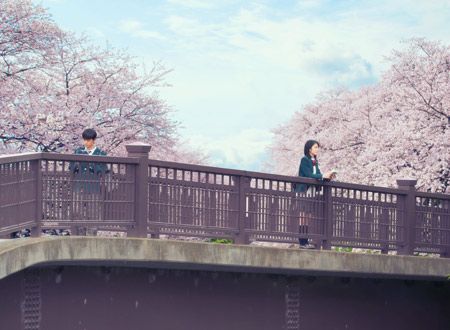 君の膵臓をたべたい