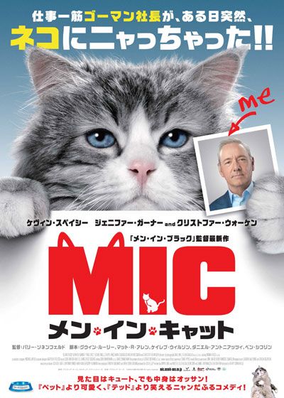 映画『メン・イン・キャット』の画像（2枚目）