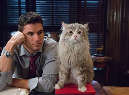 映画『メン・イン・キャット』の画像（5枚目）