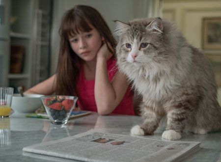 映画『メン・イン・キャット』の画像（6枚目）