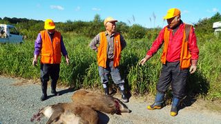 福島　生きものの記録　シリーズ4 ～生命～