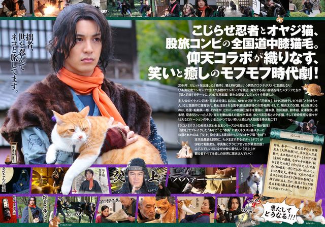 映画『猫忍』の画像（4枚目）