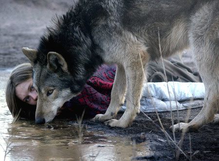 ワイルド わたしの中の獣