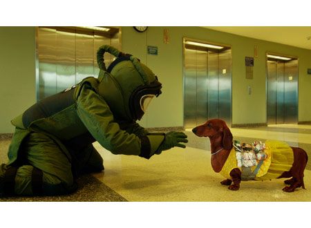 トッド・ソロンズの子犬物語