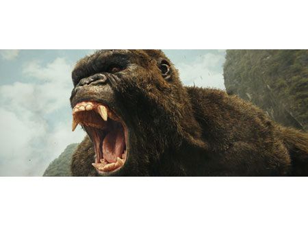 映画『キングコング：髑髏島の巨神』の画像（2枚目）